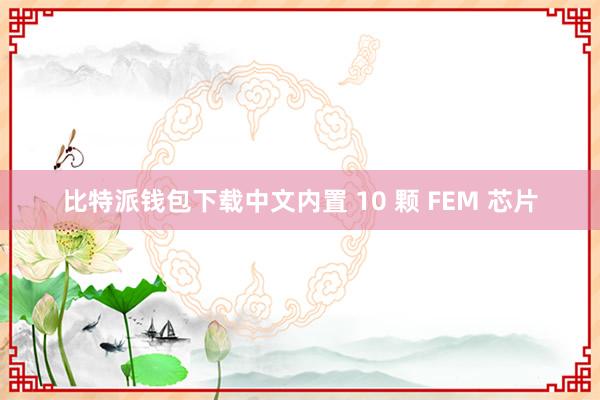 比特派钱包下载中文内置 10 颗 FEM 芯片