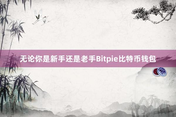 无论你是新手还是老手Bitpie比特币钱包