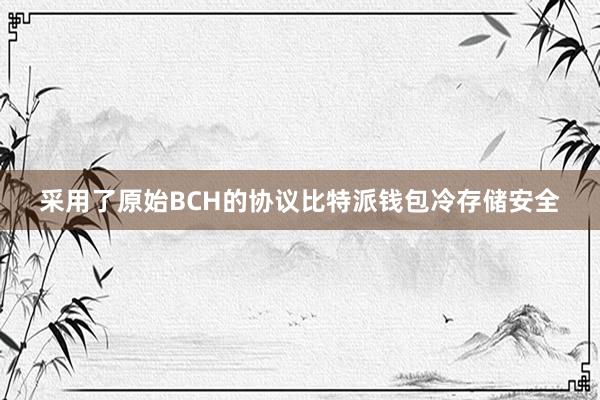 采用了原始BCH的协议比特派钱包冷存储安全