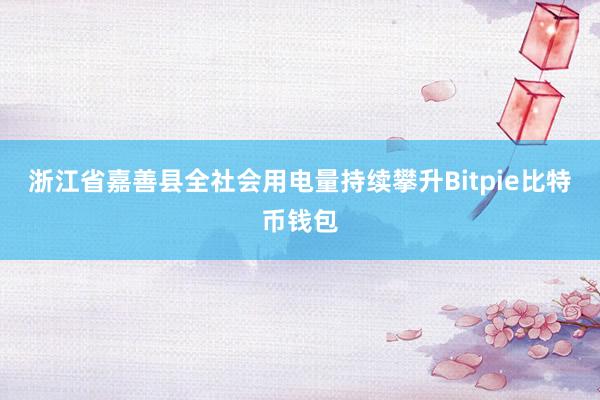 浙江省嘉善县全社会用电量持续攀升Bitpie比特币钱包