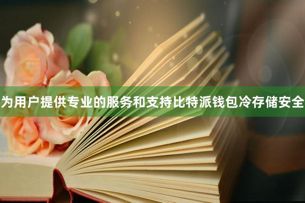 为用户提供专业的服务和支持比特派钱包冷存储安全