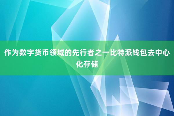 作为数字货币领域的先行者之一比特派钱包去中心化存储