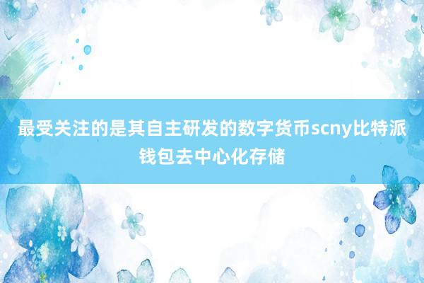 最受关注的是其自主研发的数字货币scny比特派钱包去中心化存储