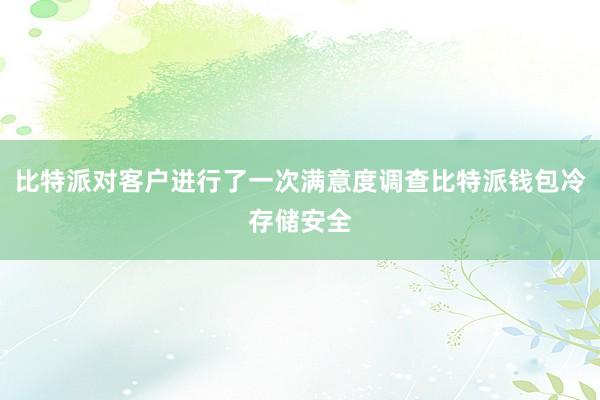 比特派对客户进行了一次满意度调查比特派钱包冷存储安全