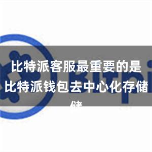 比特派客服最重要的是比特派钱包去中心化存储