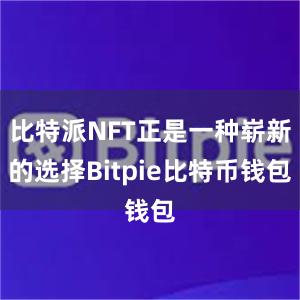 比特派NFT正是一种崭新的选择Bitpie比特币钱包