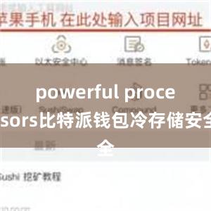 powerful processors比特派钱包冷存储安全